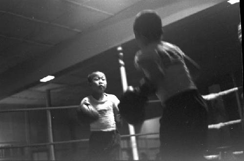 Kids in boxing ring fighting