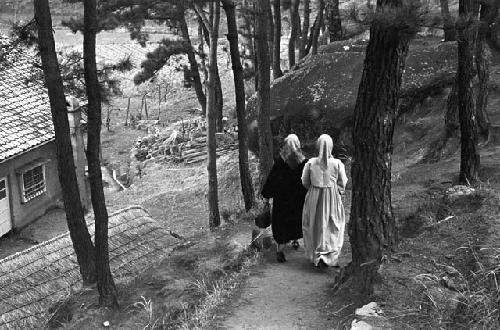 Women walking along pathway together