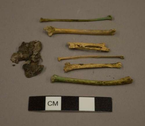 Assorted bones, hide and stone