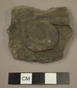 Sherd (applied spiral)