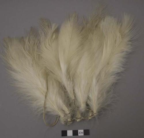 Feather headdress with hoop and seed pendant