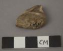 Carved bone bird figure fragment