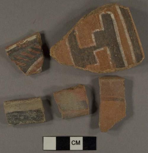 22 Pueblo III red and polychrome potsherds