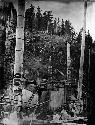 Totem poles, Gold Harbor, Village of Skidegate