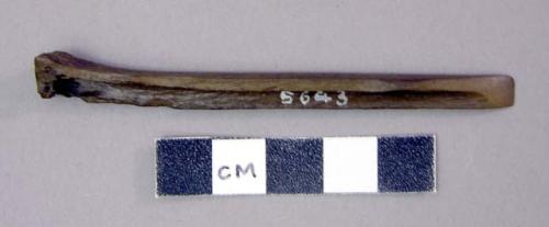 Bone chisel