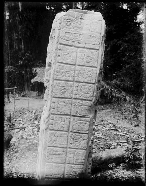 Stela C, upper portion of east side