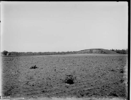 Mounds North of Cahokia Mound