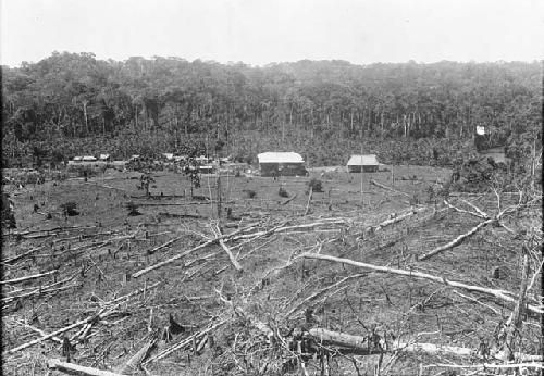 Homes in clearing beyond cut down trees