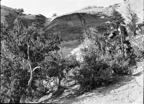 Cave at Bad Man Springs