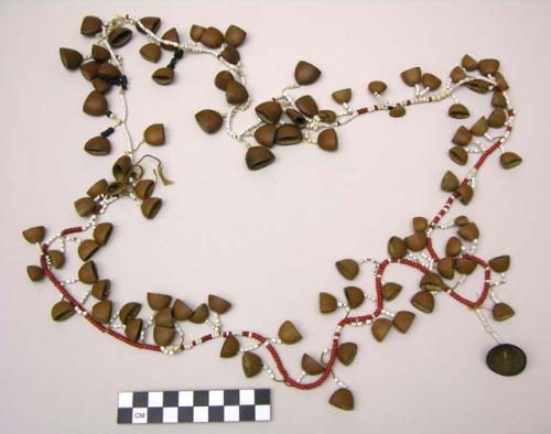 Necklace of pods and glass beads