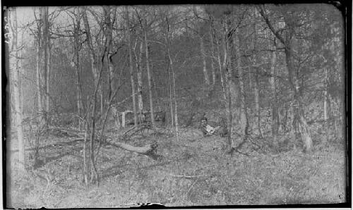 Millis Earthworks - trenches and embankments