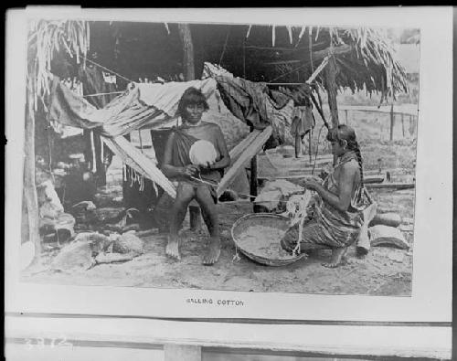 Women balling cotton