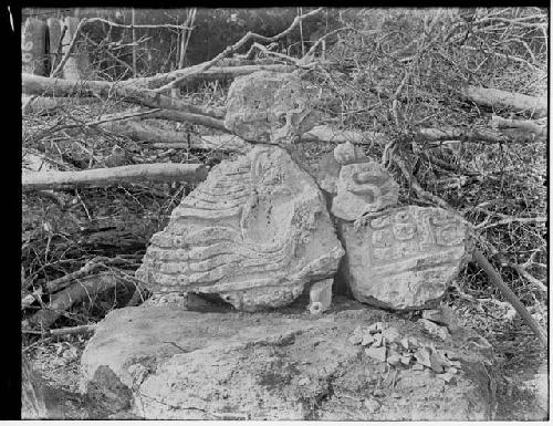 Stela north of structure 31