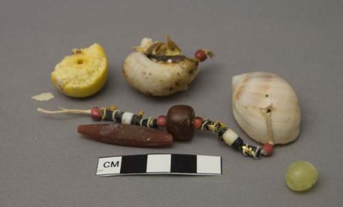 Bead & shell fringe fragments (2), loose beads, 1 much deteriorated & crumbled