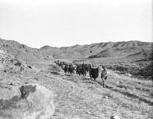 Approach to Lao Hu K'ou, front view of camel caravan