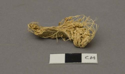 Specimen of fibres of /AH