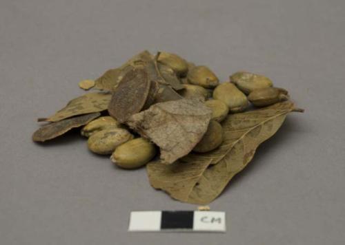 Berries, leaves & husks of /AH - food