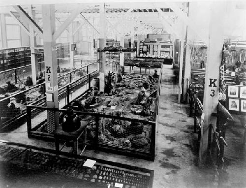 World's Columbian Exposition of 1893, Chicago. Andean mummies.