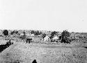 Camp from east showing mules and wagon