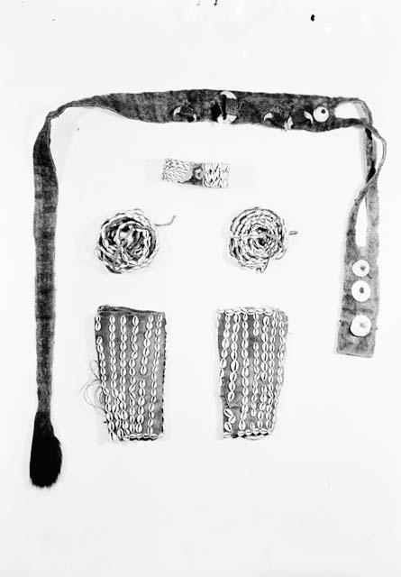 Lion skin strip including tail sewn with claws and shells, cowrie shell covered