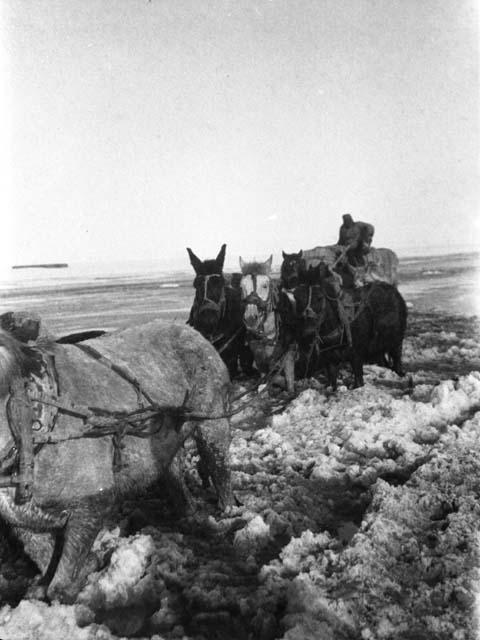 Near Dorbujing [Emin], carts in ice, melting stream