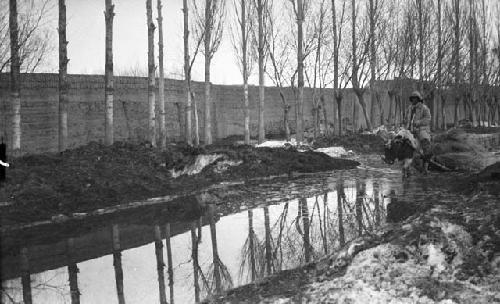 Sledge in flooded street