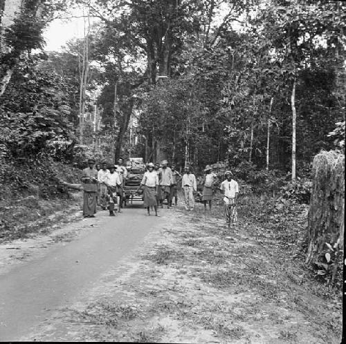 Pulling Loaded wagon on Gov't road at Muga