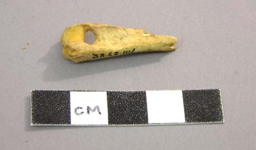 Bone awl fragment