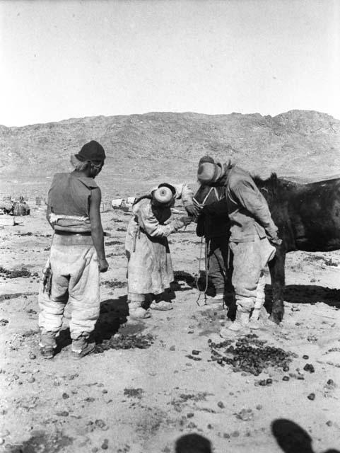 Ming Shui - men slitting the nostril of a pony to cure it of colic