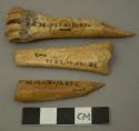 Large bone points made from long bones (2 fragmentary)