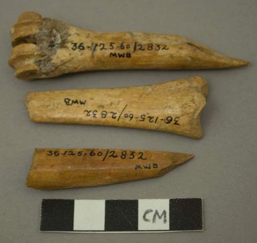 Large bone points made from long bones (2 fragmentary)