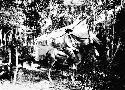 S.G.M. on horseback in camp