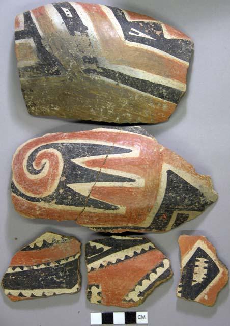 Rim sherd, 12 body sherds possibly all from the same jar. black on white and red - tonto polychrome