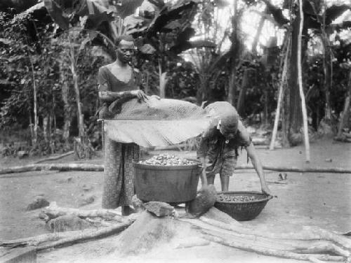 Cooking oil palm nuts for palm oil