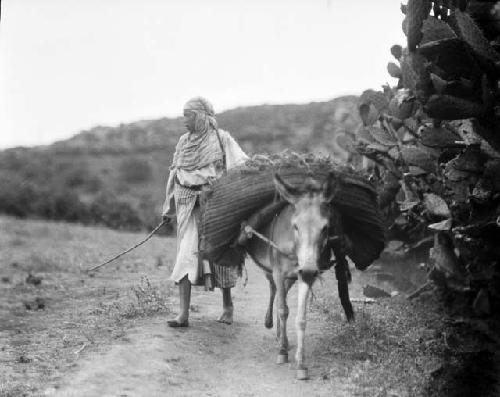 Woman and donkey