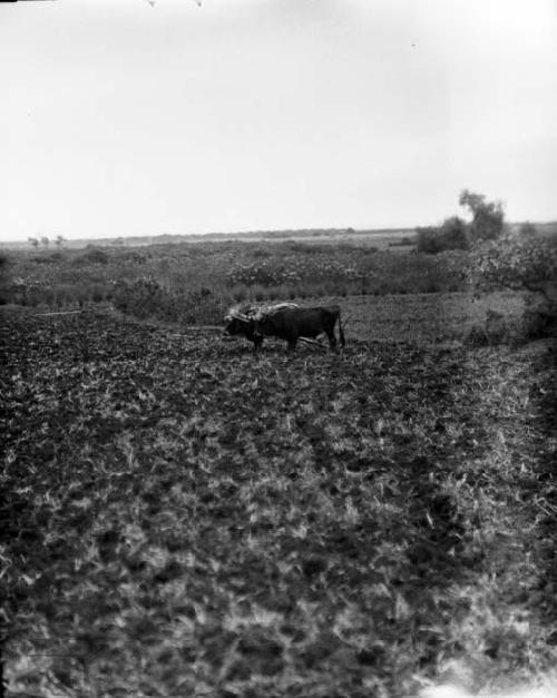 View of the countryside