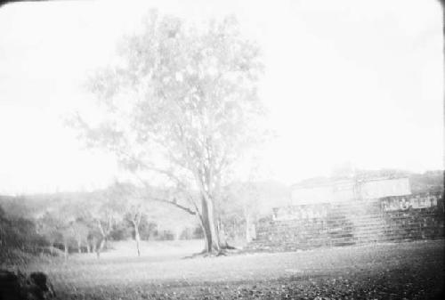 Ball court, distant view