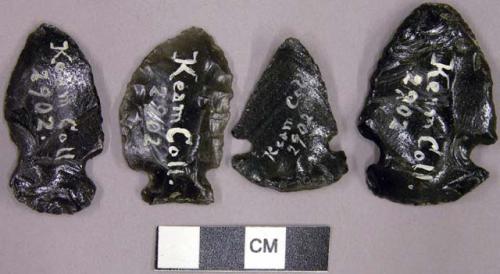 Stone projectile points