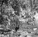 Masai watering cattle