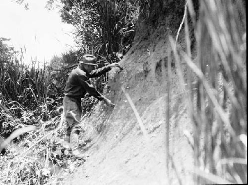 Dr. E. A. Hooton sherd hunting in the riverbank at Cocle