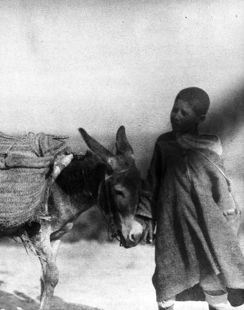 Physical types, boy with donkey