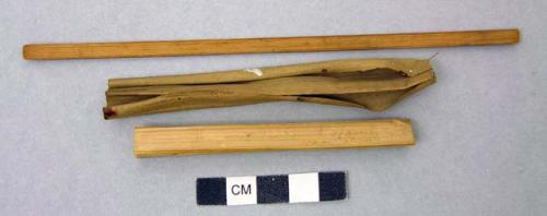 Reed fragments, 1 with 2 perforations