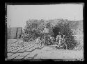 Cornstalk-constructed hut with 4 occupants