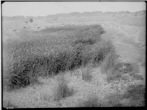 Great well located near the prison block of the Tschudi group