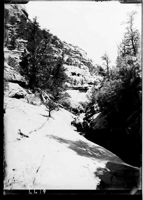 Looking Down the Canyon from Bottom Near Cliff Palace