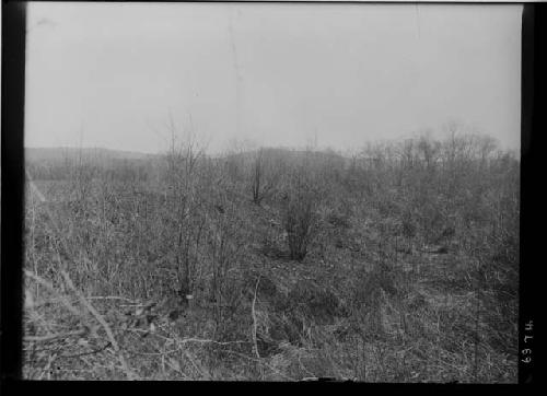 Trench Looking Southeast