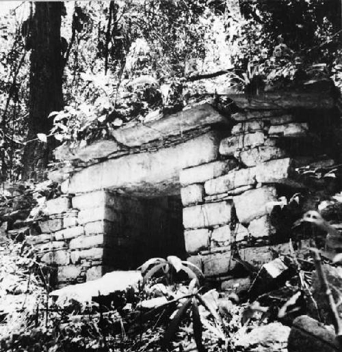 Ruins on trail from Yaxchilan to Arroyo Camp