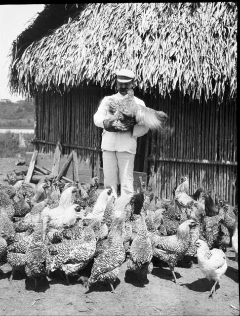 Man with chickens