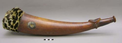 Old ivory horn