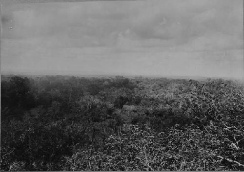 View from Temple 1 to North-West; Part of Panorama, Negative 4